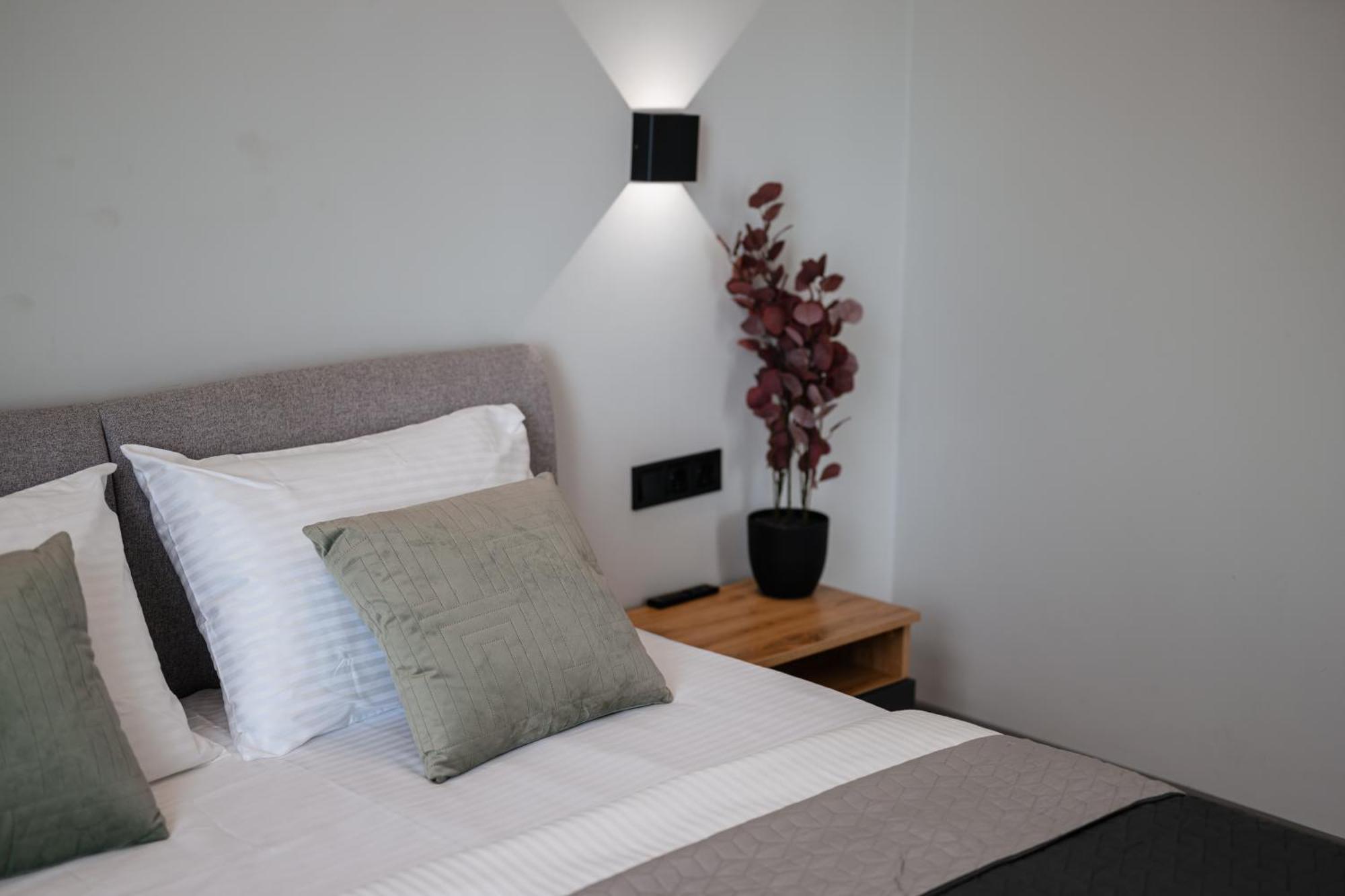 Luxury Smart House